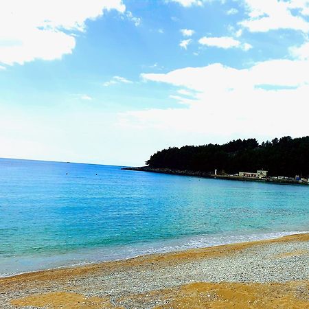 Philoxenia Guest House 希马拉 外观 照片