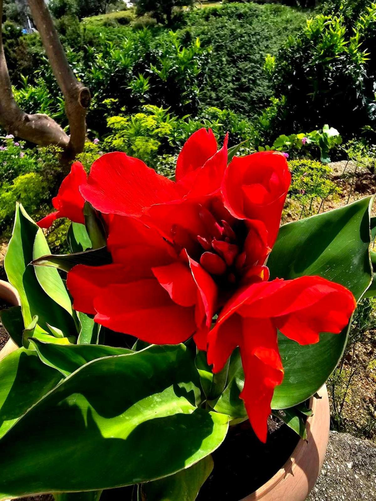Philoxenia Guest House 希马拉 外观 照片