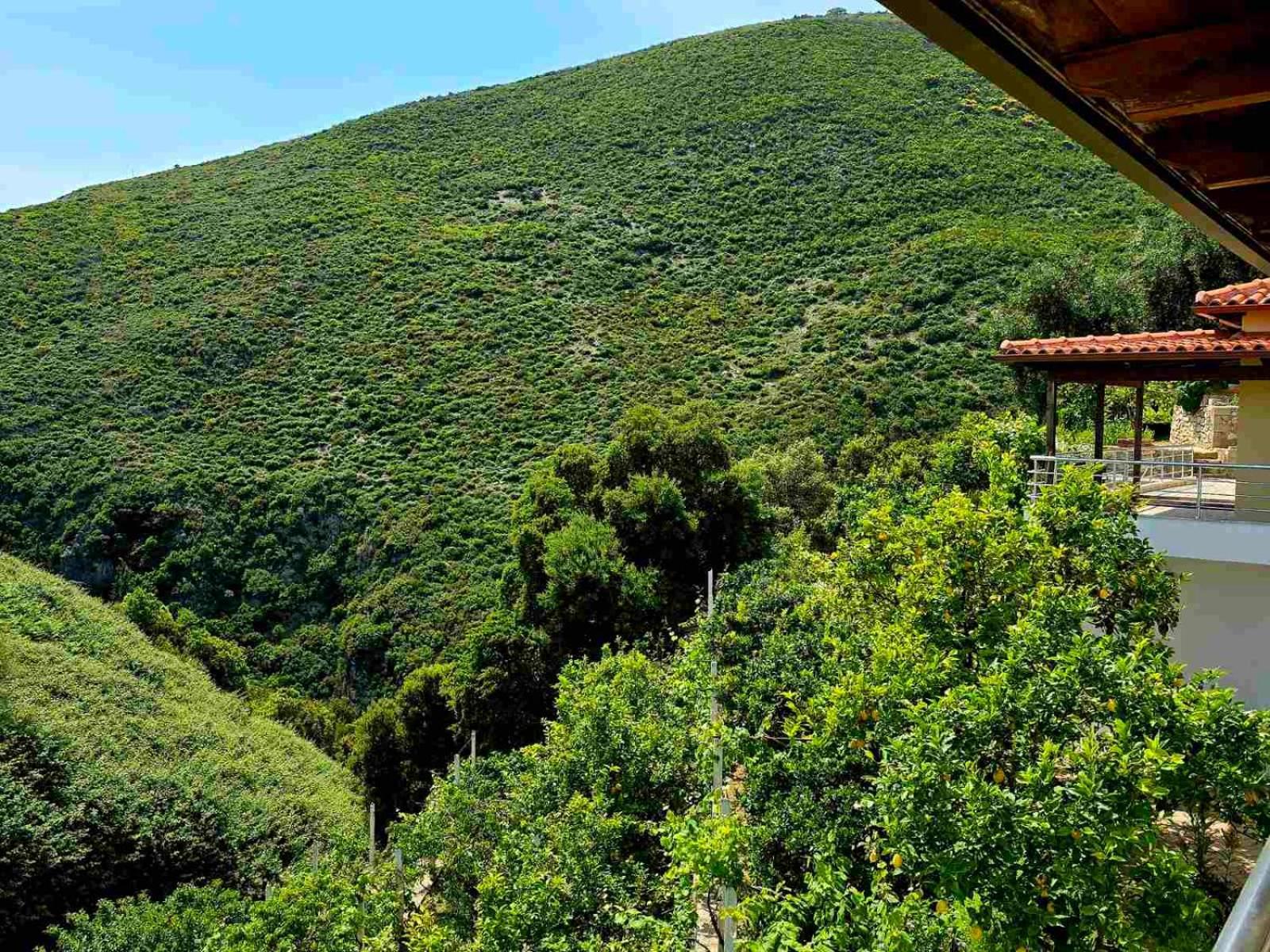 Philoxenia Guest House 希马拉 外观 照片